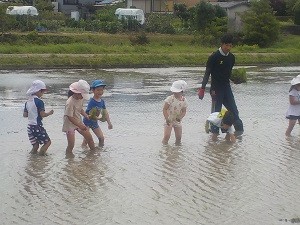 0628田植え (3)