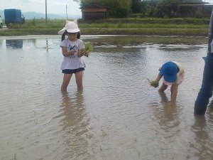 0628田植え (2)